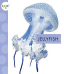 Jellyfish cover