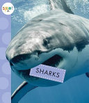 Sharks cover