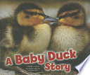 A Baby Duck Story cover