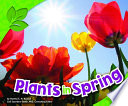 Plants in Spring cover