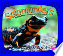 Salamanders cover