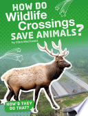 How Do Wildlife Crossings Save Animals? cover