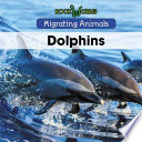Dolphins cover