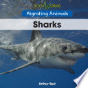 Sharks cover
