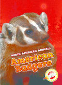 American Badgers cover