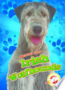 Irish Wolfhounds cover