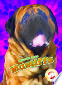 Mastiffs cover