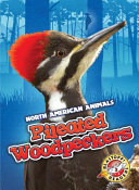 Pileated Woodpeckers cover