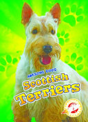 Scottish Terriers cover