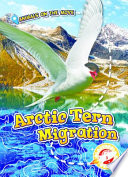 Arctic Tern Migration cover