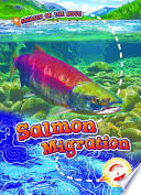 Salmon Migration cover