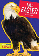 Bald Eagles cover