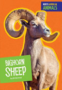 Bighorn Sheep cover