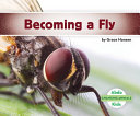 Becoming a Fly cover
