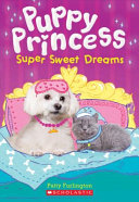 Super Sweet Dreams cover