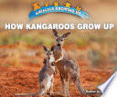 How Kangaroos Grow Up cover