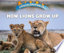 How Lions Grow Up cover