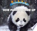How Pandas Grow Up cover