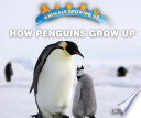 How Penguins Grow Up cover