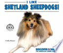 I Like Shetland Sheepdogs! cover