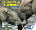 Eavesdropping on Elephants cover