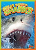 Great White Sharks cover