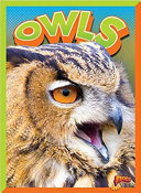 Owls cover