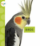Birds cover