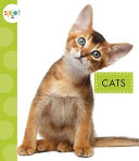 Cats cover
