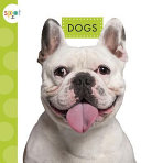 Dogs cover