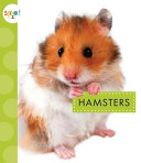 Hamsters cover