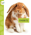 Rabbits cover