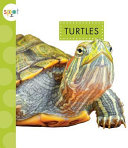 Turtles cover