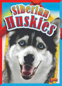 Siberian Huskies cover