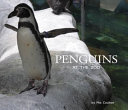 Penguins at the Zoo cover