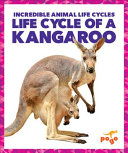 Life Cycle of a Kangaroo cover