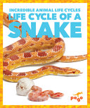 Life Cycle of a Snake cover