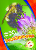 Bumblebees cover