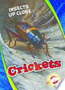 Crickets cover