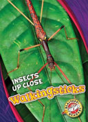Walkingsticks cover