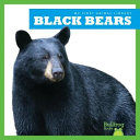 Black Bears cover