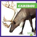 Caribou cover