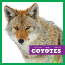 Coyotes cover