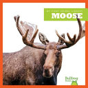 Moose cover
