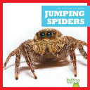 Jumping Spiders cover