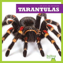 Tarantulas cover