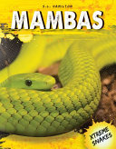 Mambas cover