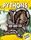 Pythons cover