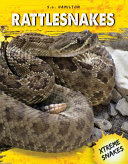 Rattlesnakes cover
