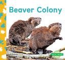 Beaver Colony cover
